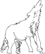 coyote Coloring Pages To Print